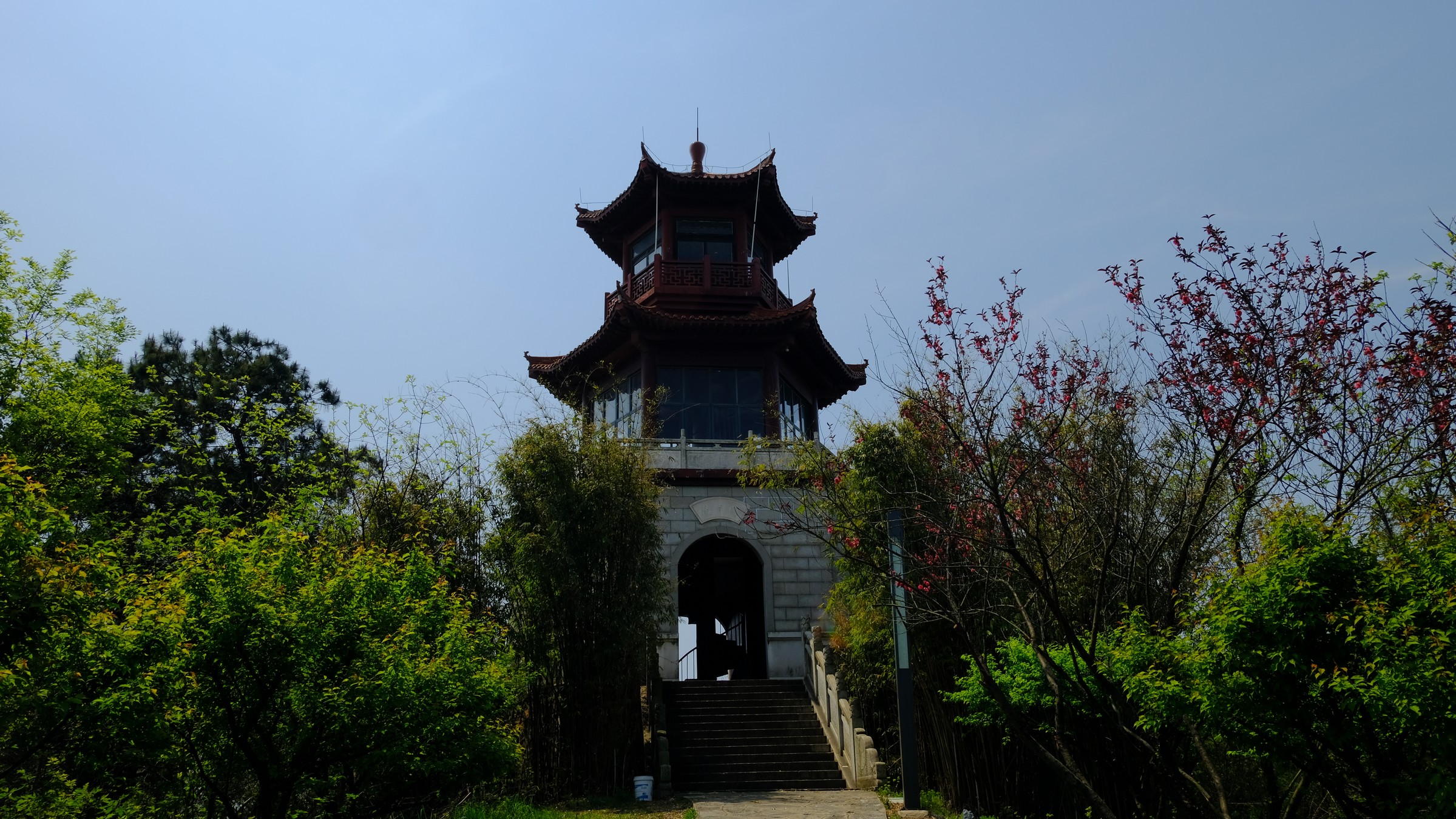 春日踏青好去处 武汉马鞍山森林公园