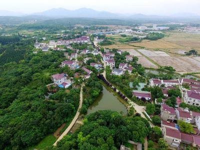 植绿不止，春山可望！马鞍山市这个县扛起高质量发展“绿色担当”